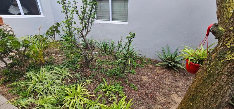 7 Bedroom Property for Sale in Country Club Western Cape